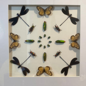 Cadre géométrie aux papillons, scarabées et insectes