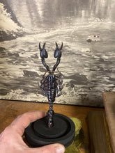 Charger l&#39;image dans la galerie, Globe véritable scorpion
